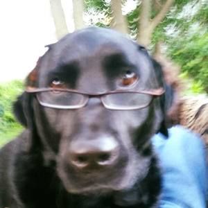 Meet your Posher, Josie